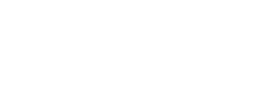 Capitale numérique